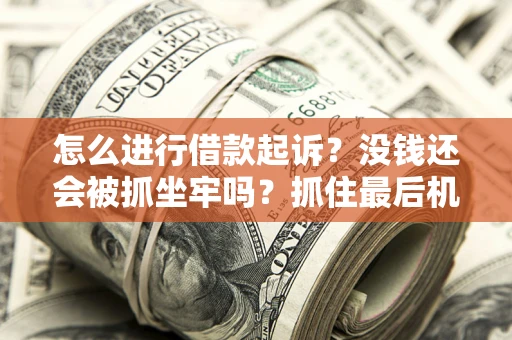 济南怎么进行借款起诉？没钱还会被抓坐牢吗？抓住最后机会！