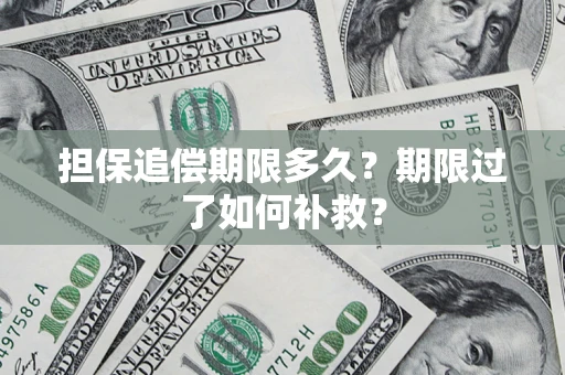 济南担保追偿期限多久？期限过了如何补救？